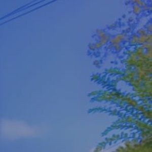 Meet your Posher, Night